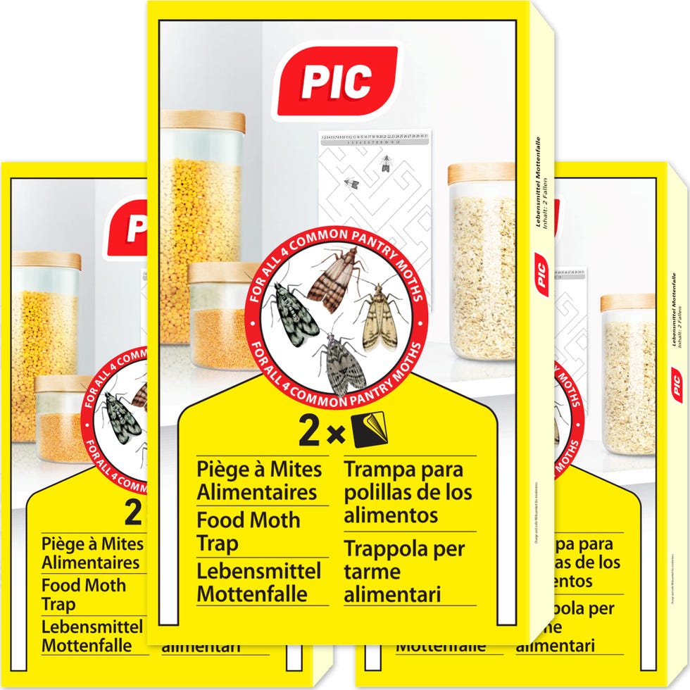 6 trampas para polillas