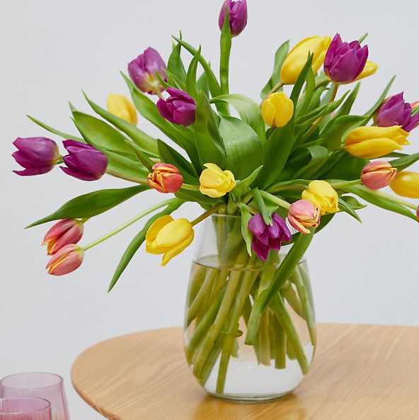 Bright & Beautiful Tulips