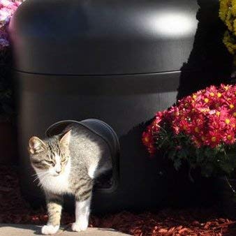 Outdoor Insulated Cat House