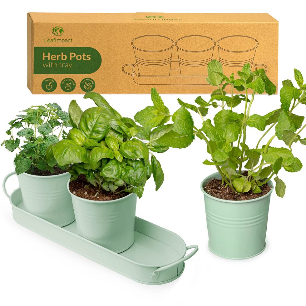Herb Planter-Indoor