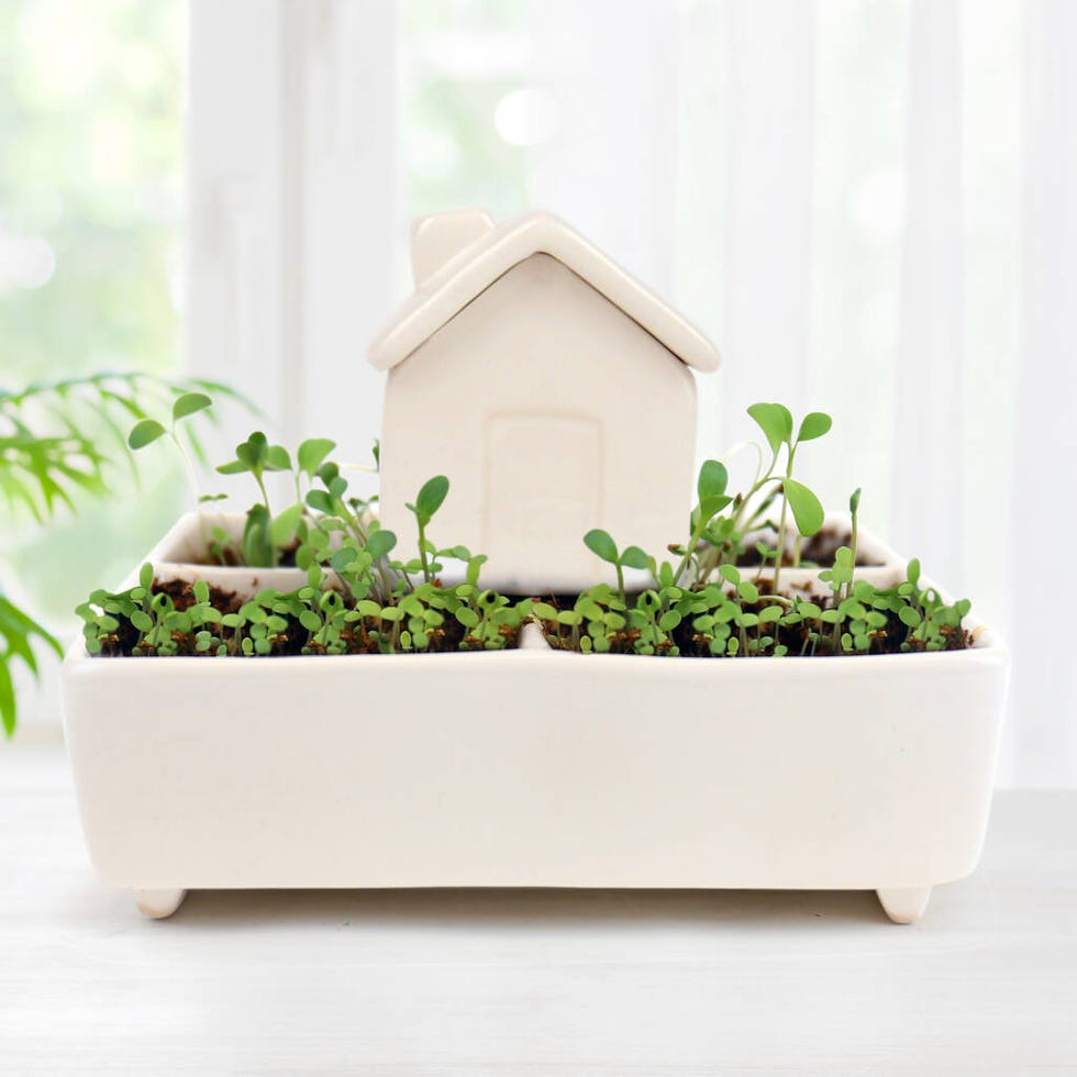 Self-watering Herb House