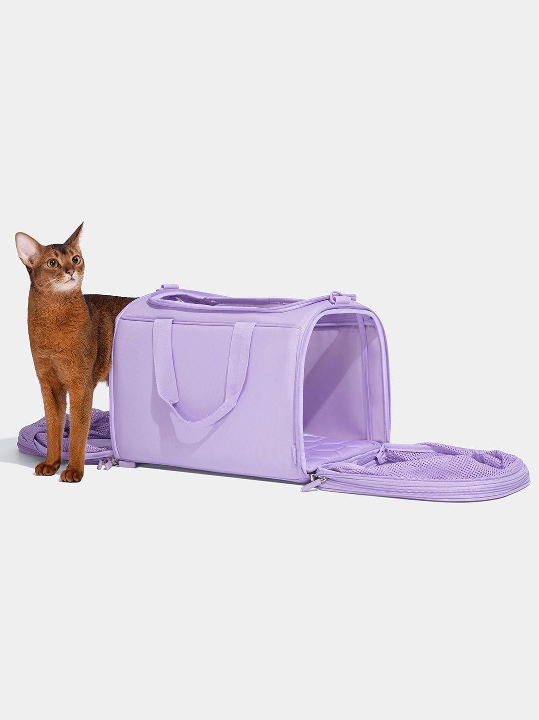 10 Best Airline-Approved Pet Carriers 2024