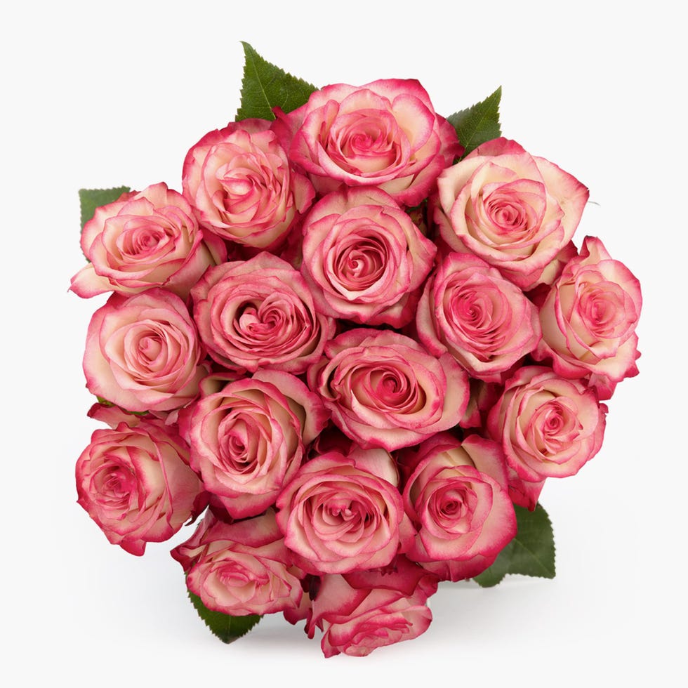 Bouquets Pretty in Pink Roses 