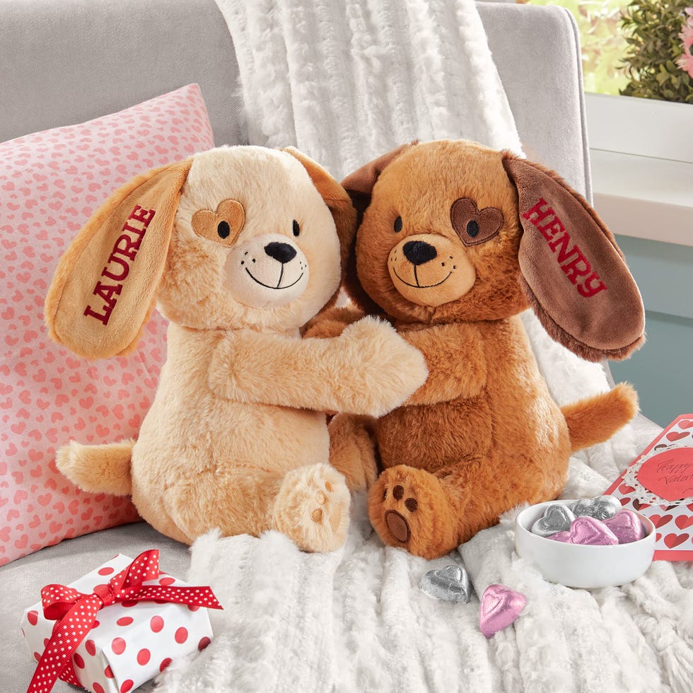 Personalized Hugging Plush Puppies 