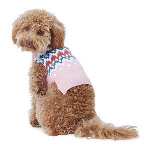 Tom Daley shares adorable knitted dog jumper