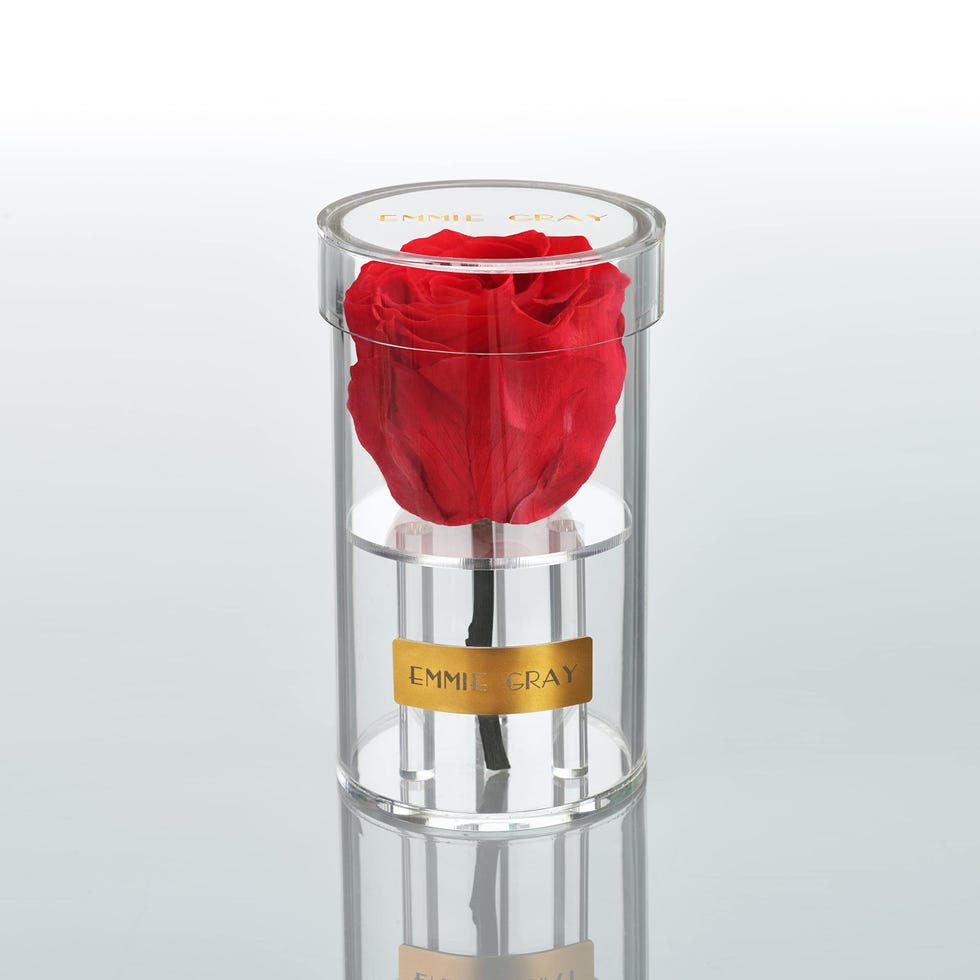 Rosa infinita 