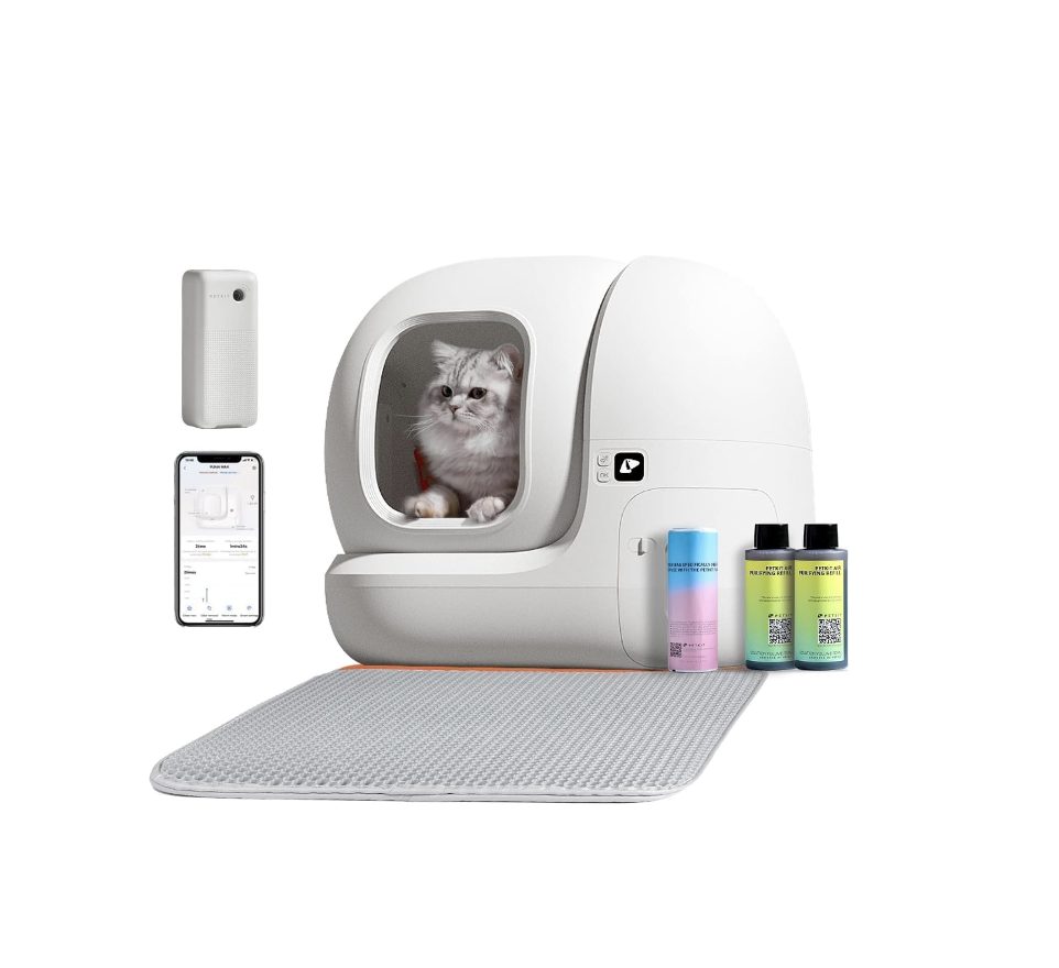 best cat litter 2019
