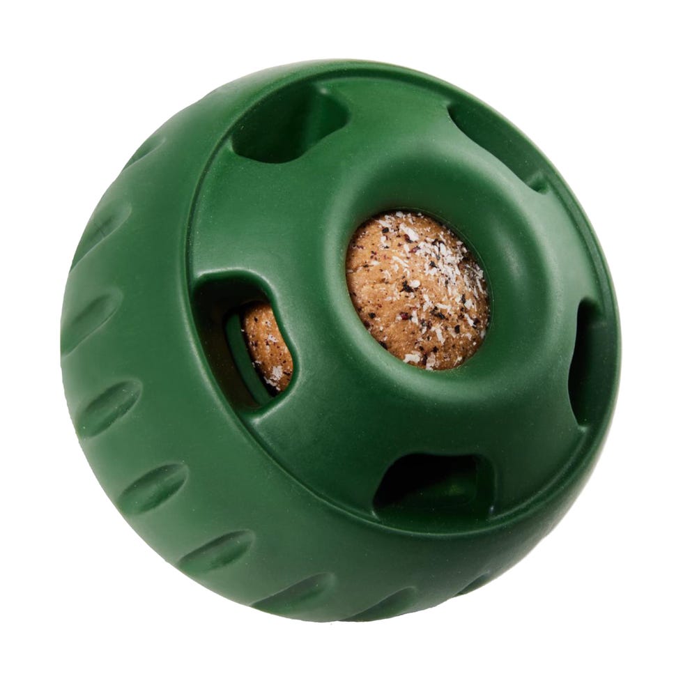30 Best Interactive Dog Toys for Bored Pups