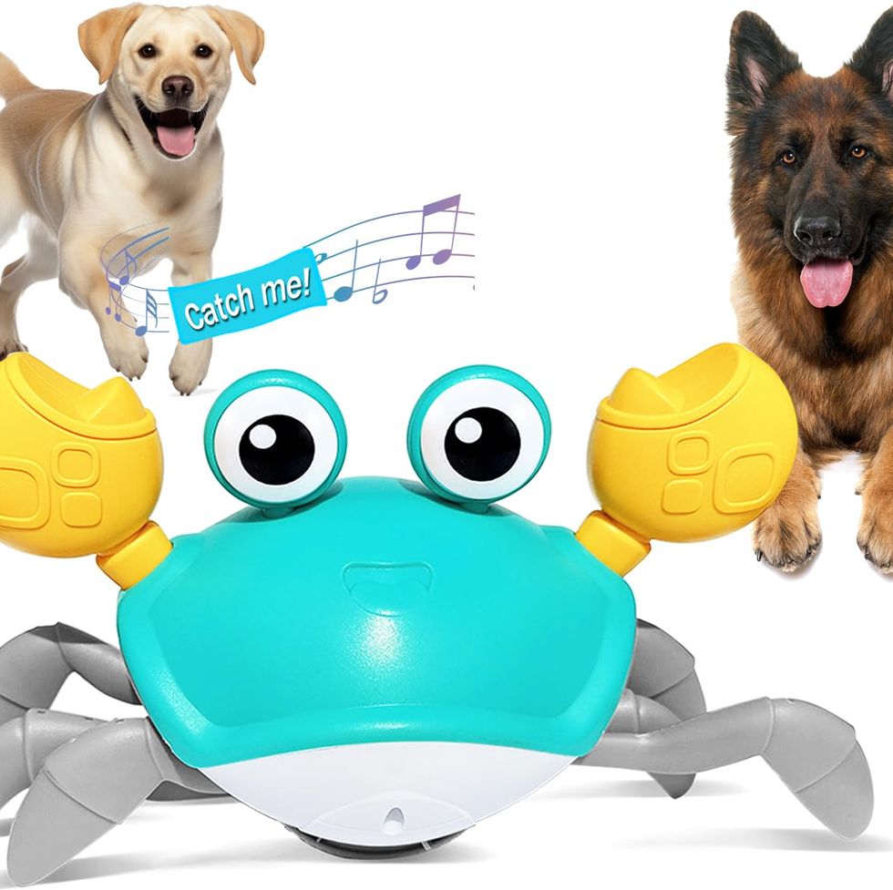 Interactive Dog Toys Dog Ball,[Newly Upgraded] Durable Motion Activated  Automatic Rolling Ball Toys for Puppy/Small/Medium/Large Dogs,USB  Rechargeable