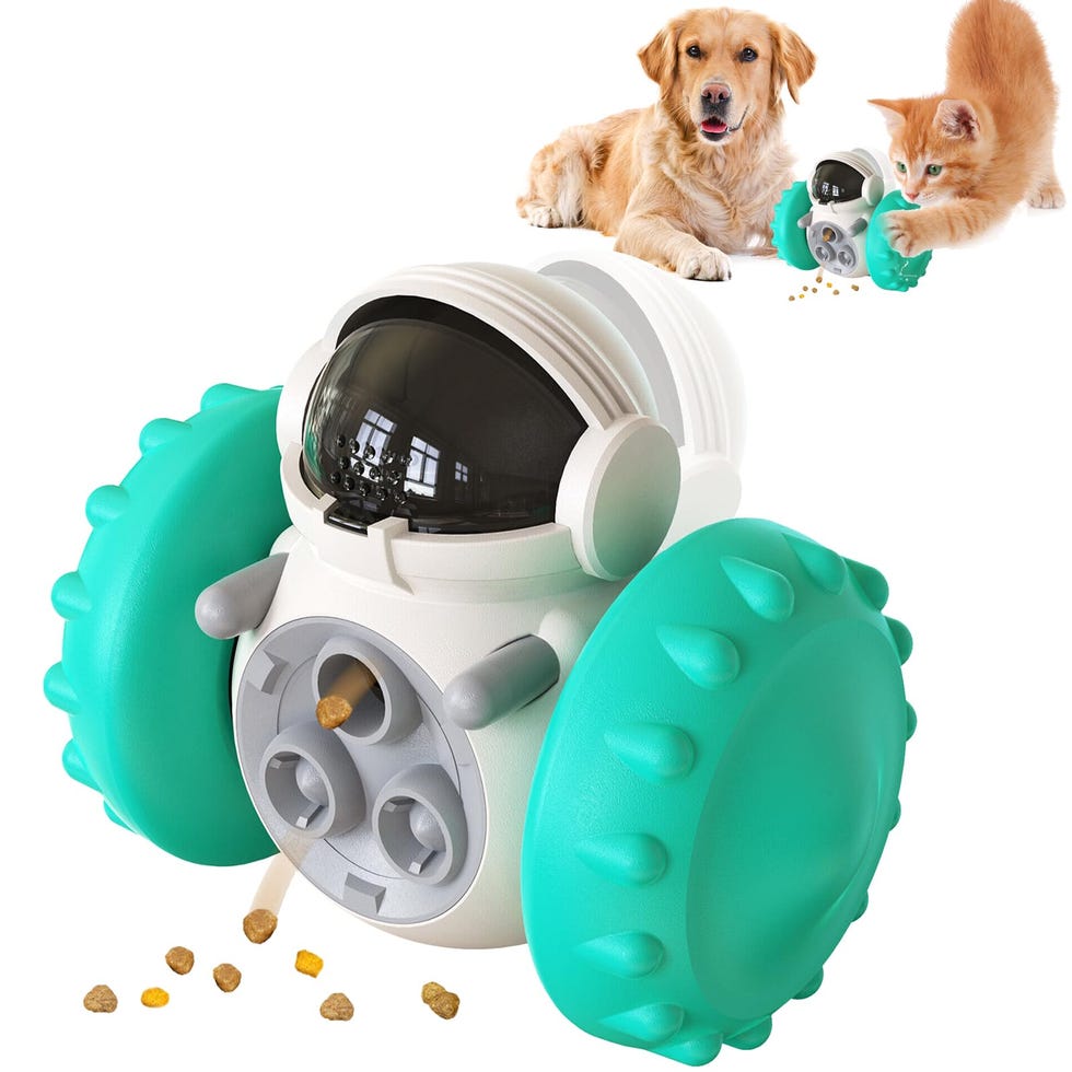 30 Best Interactive Dog Toys of 2024 Toys to Keep Dogs Busy