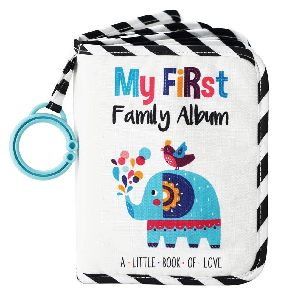Baby's My First Family Album