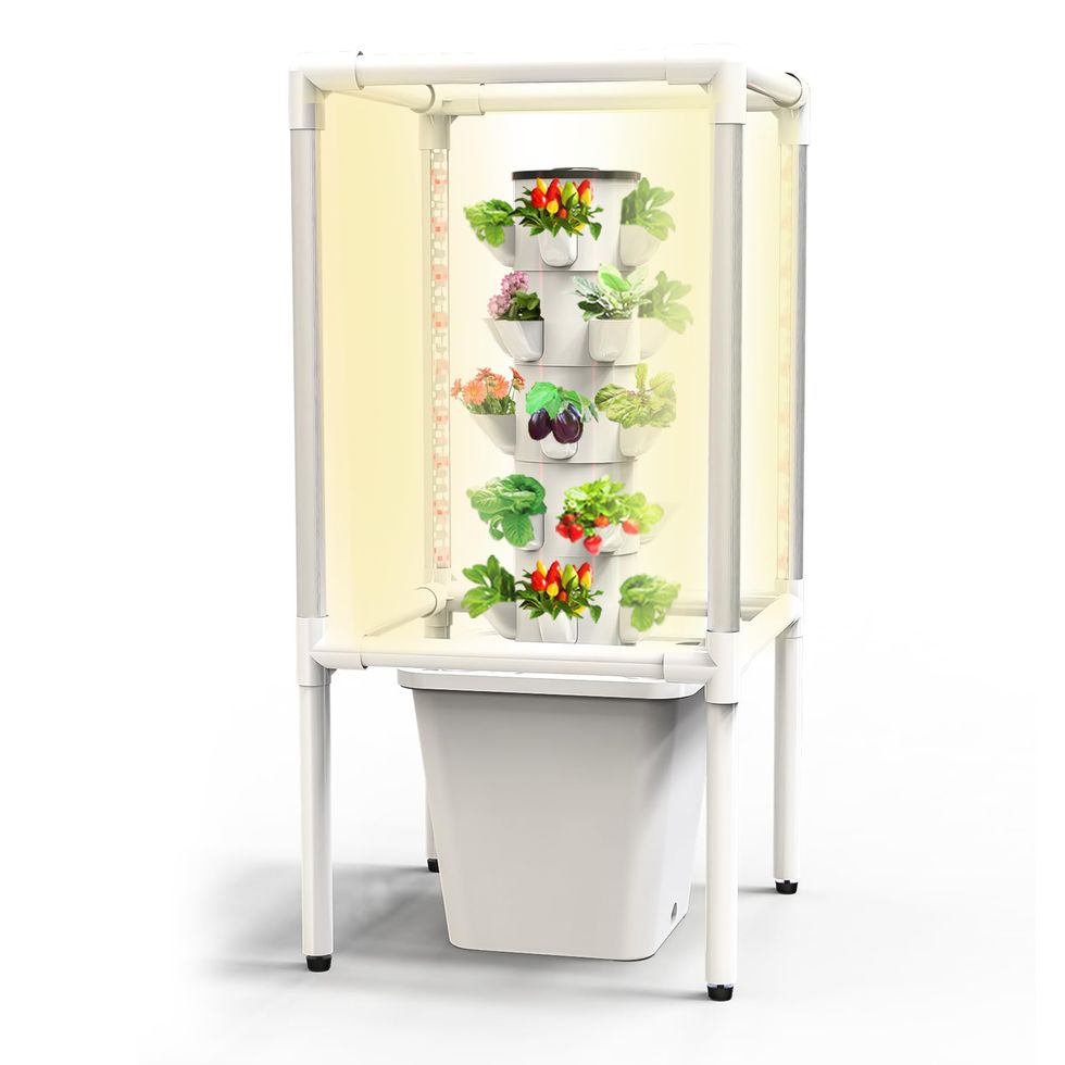 Hydroponic Growing System 