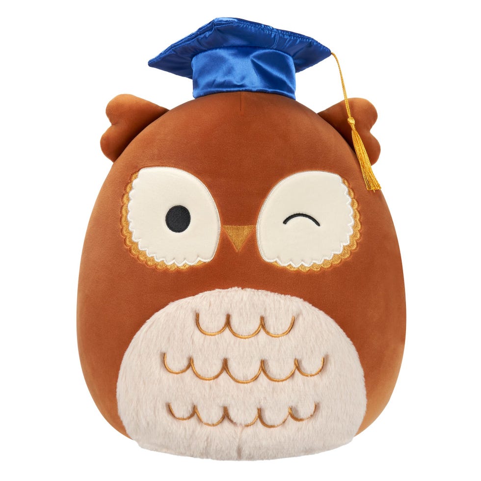 Arella Brown Owl with Graduation Cap