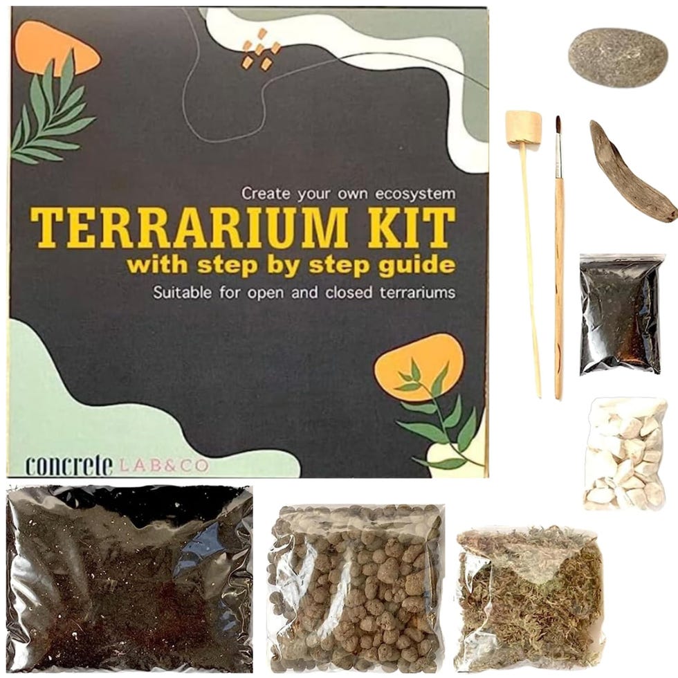 PYEF CRAFTS Kit Terrario Plantas DIY - Set con Frasco de Cristal