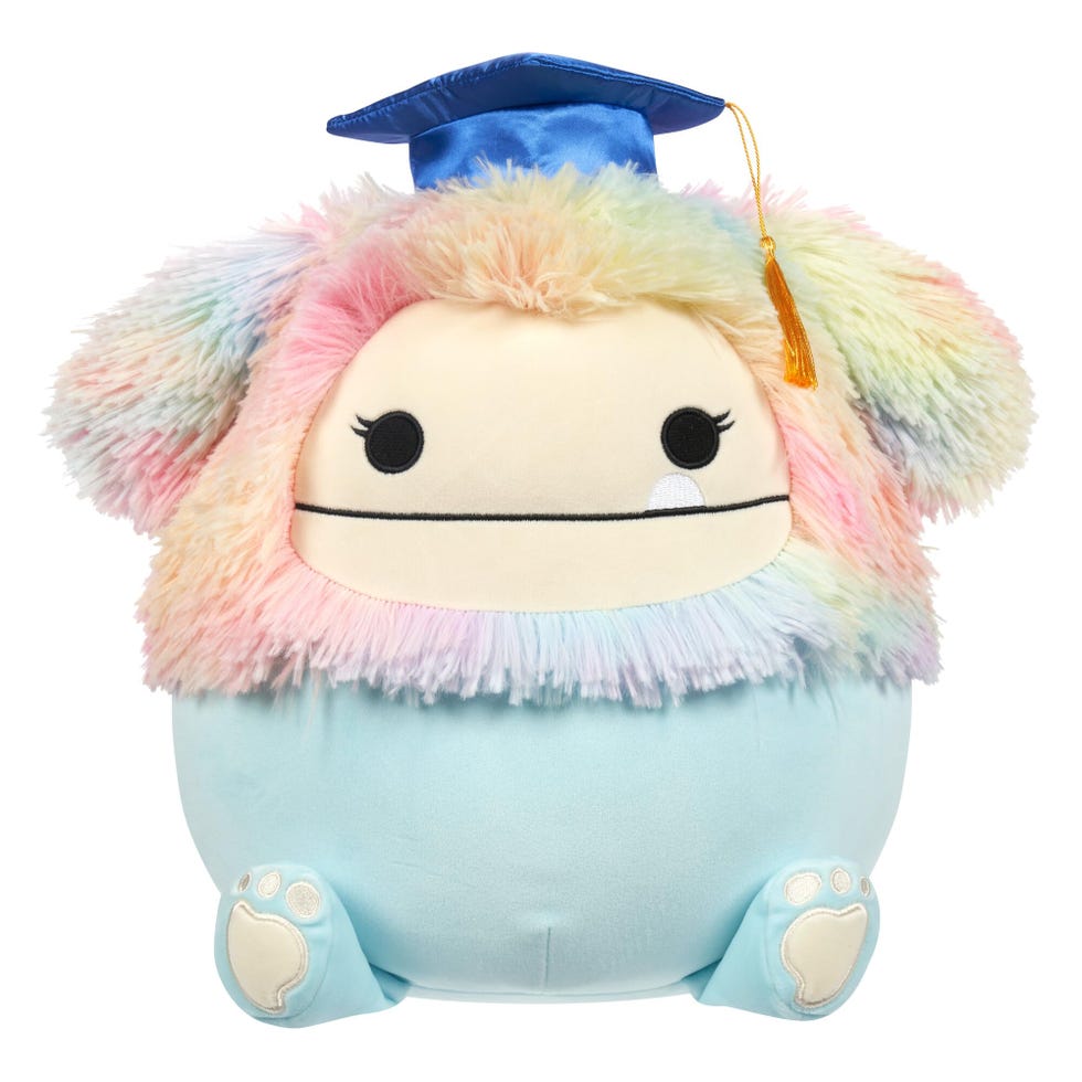 Graduation Squishmallows