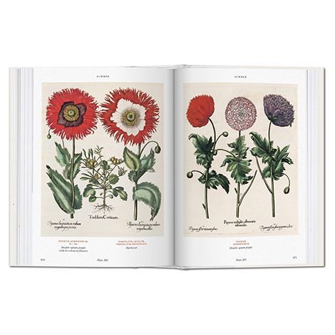 Basilius Besler’s Florilegium. The Book of Plants