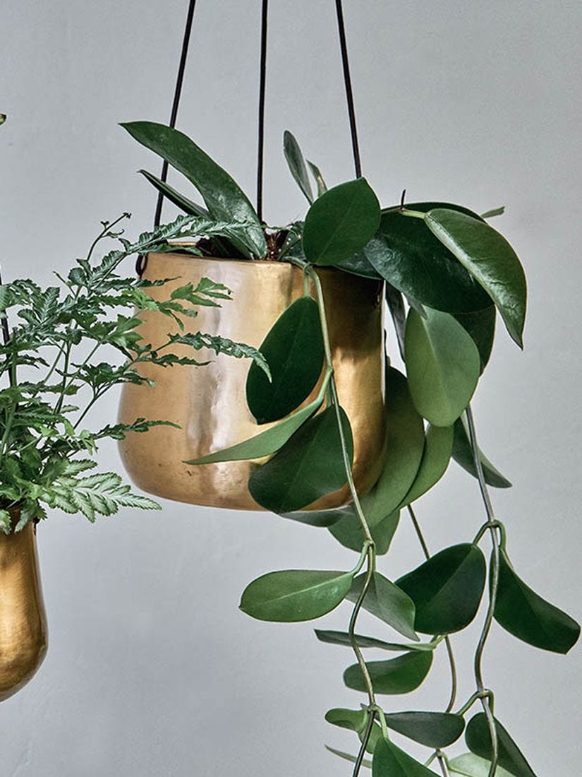 Nkuku Atsu Hanging Brass Planter, Large