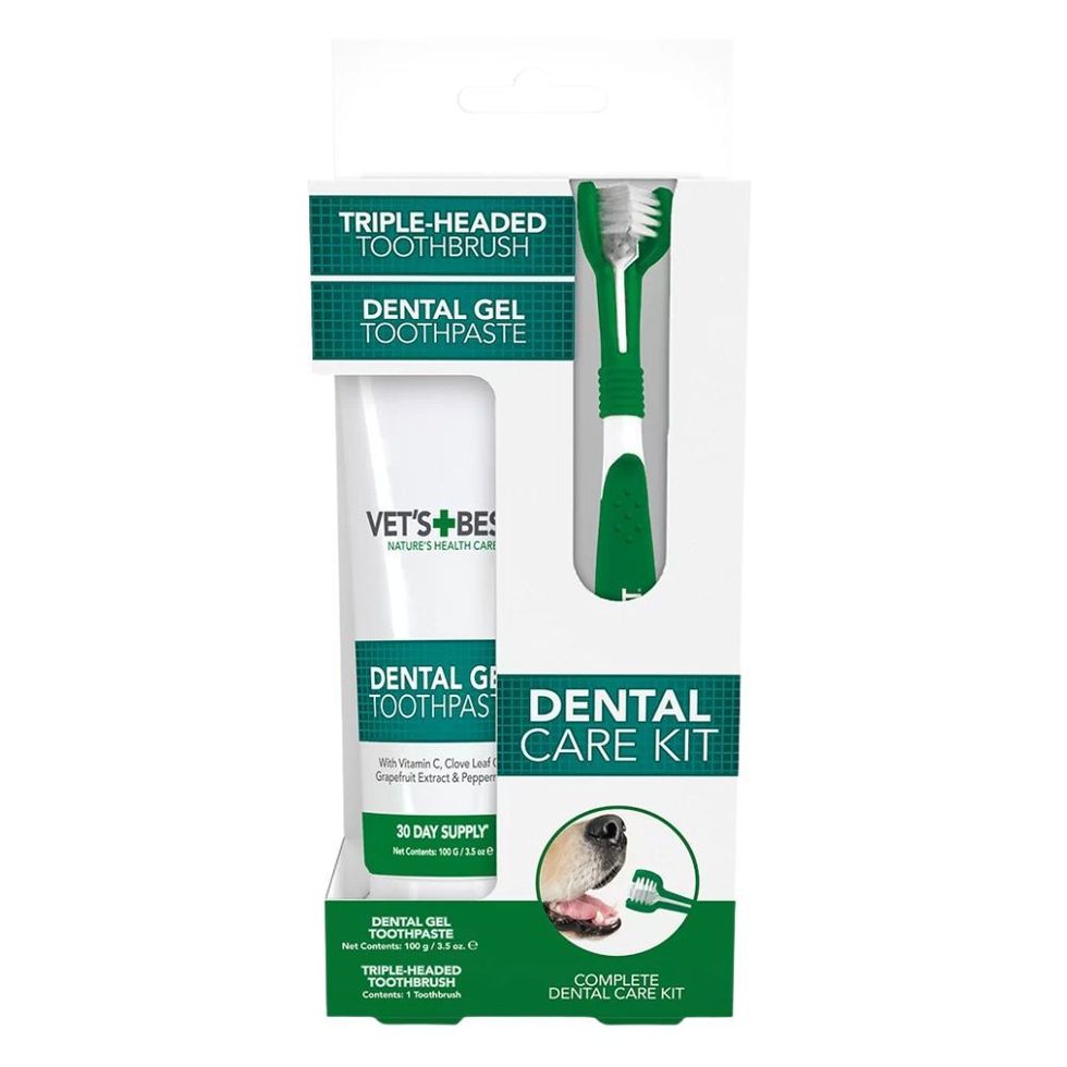 Vet's Best Dental Gel Toothpaste and Toothbrush Kit for Dogs