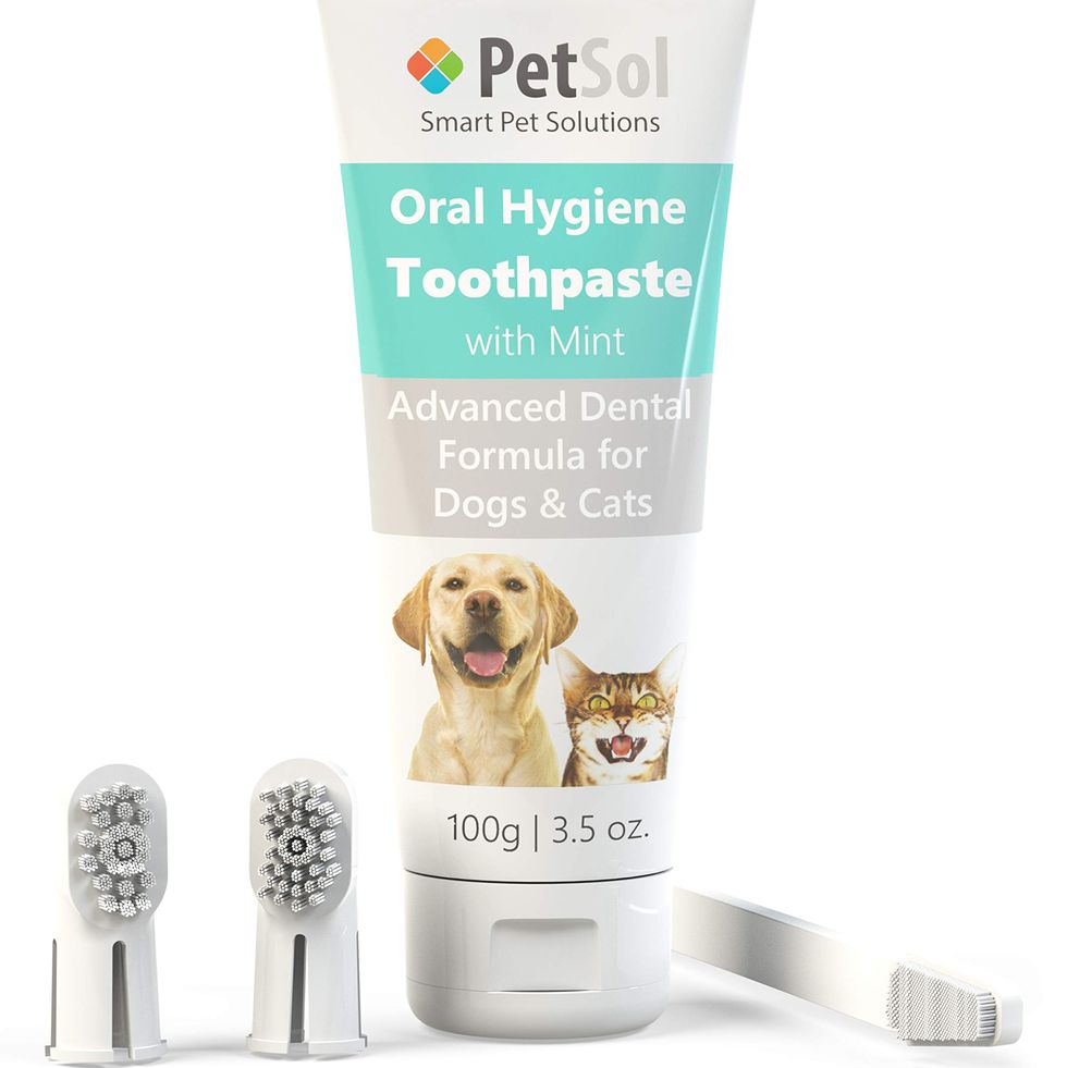 PetSol Dental Care Kit for Dogs & Cats Toothpaste 