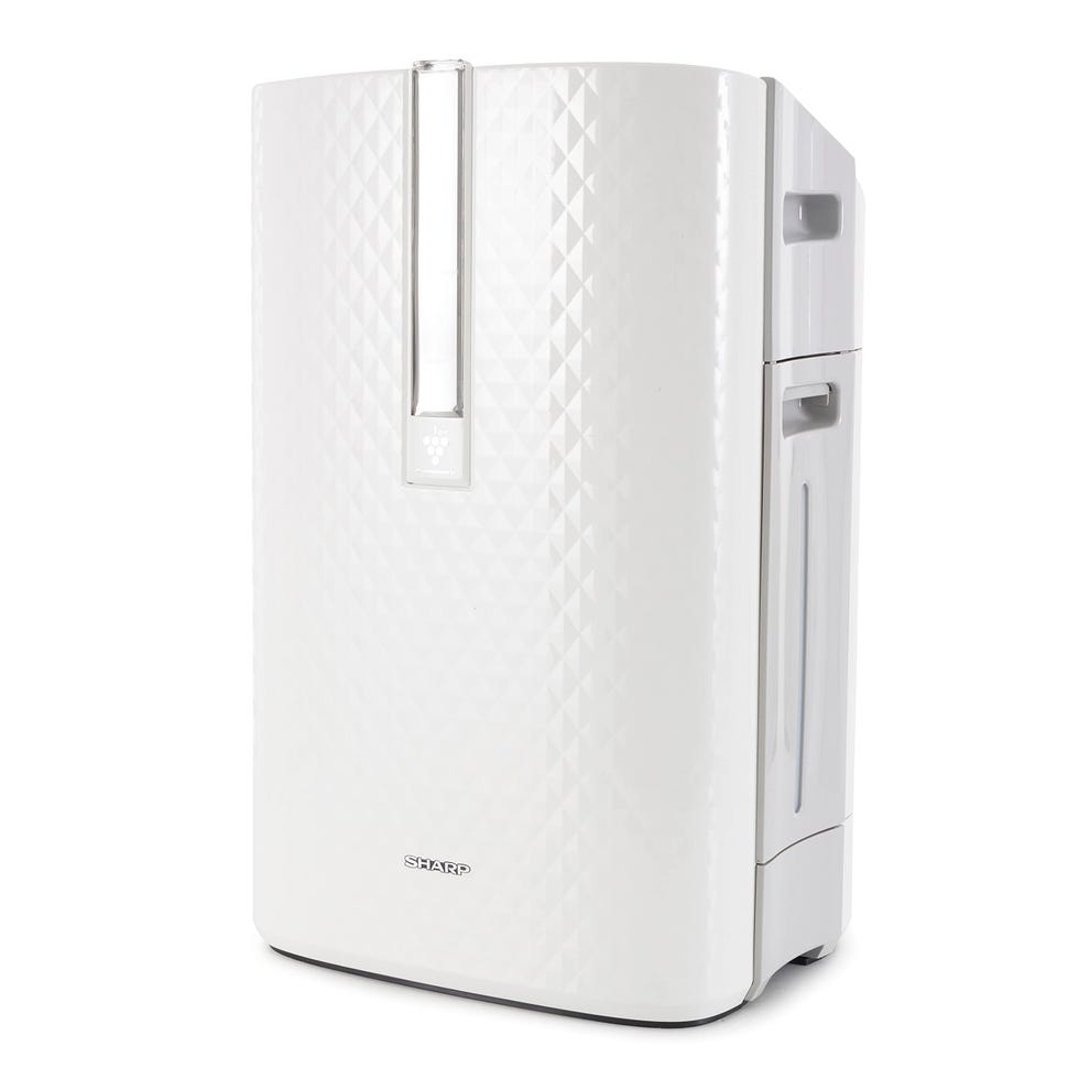 Air Purifier and Humidifier