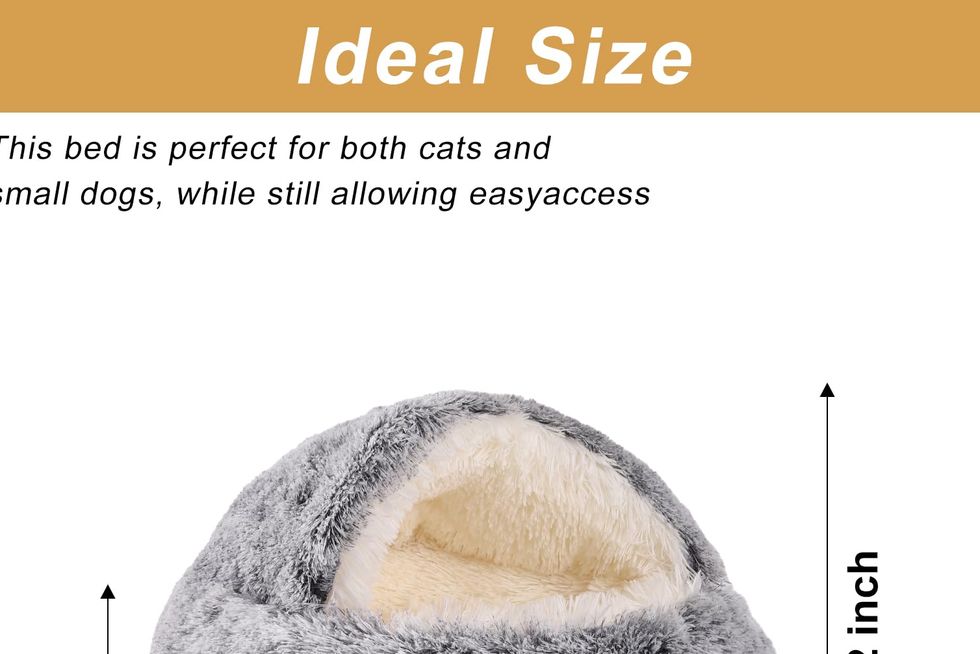My Cats Put This $20 Pet Bed Cave to the Test