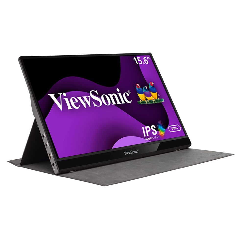 VG1655 15.6-In. Portable Monitor