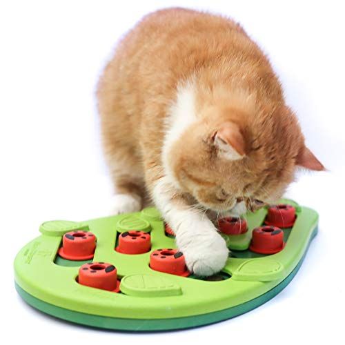 Best interactive best sale cat toys uk