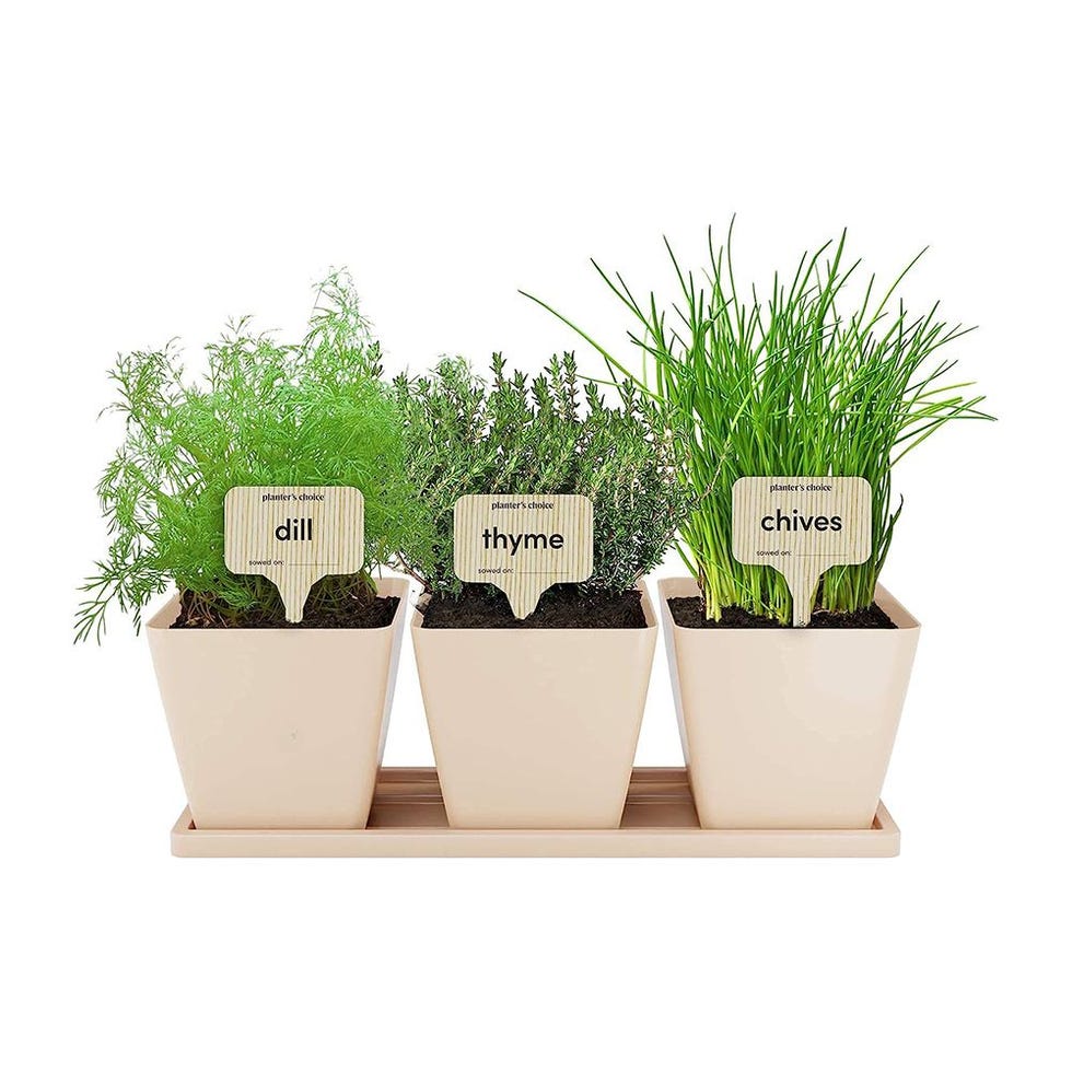 Window Herb Garden 