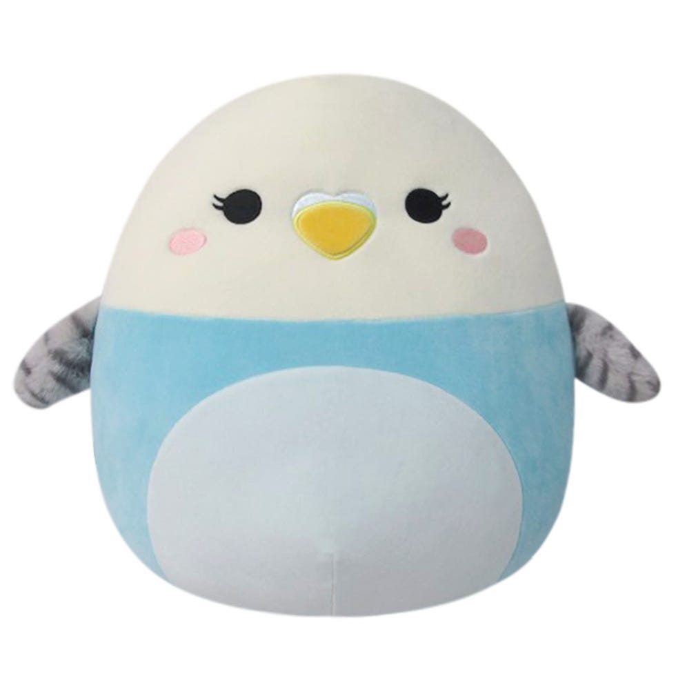 Tycho Blue and White Parakeet