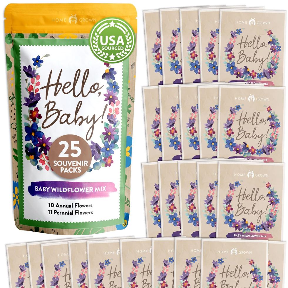 Wildflower Seed Packets (25 pack)
