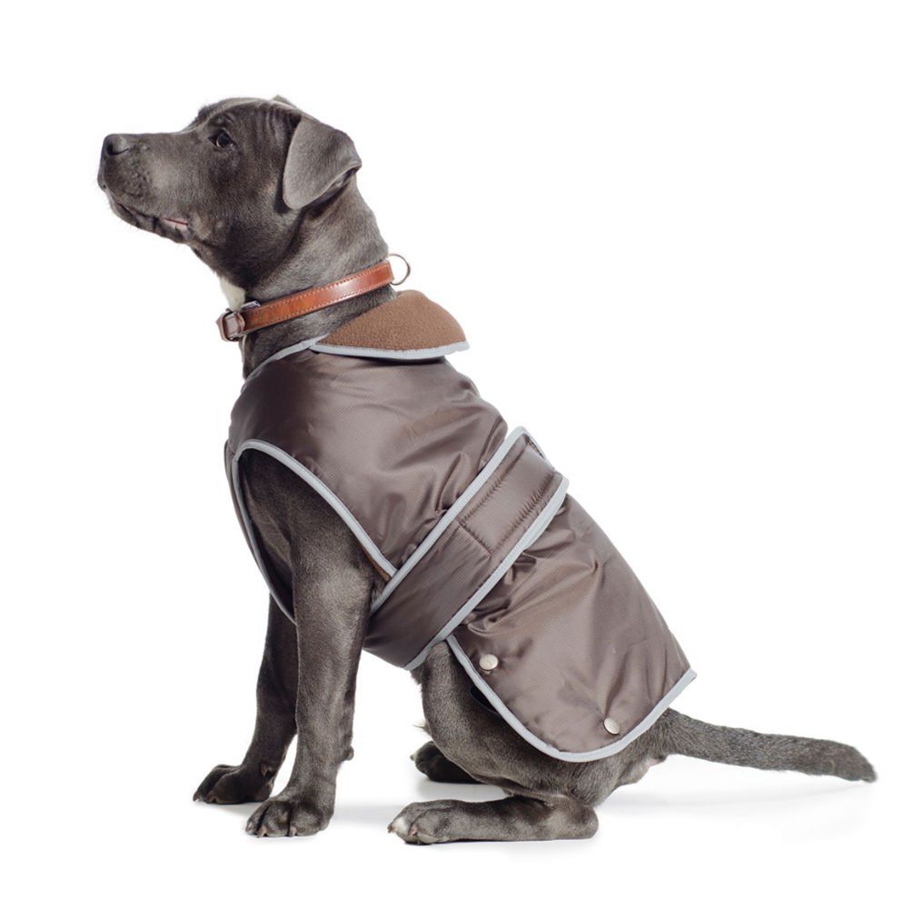 Best rated dog coats best sale