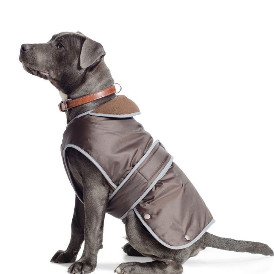 Ancol Muddy Paws All Weather Stormguard Coat