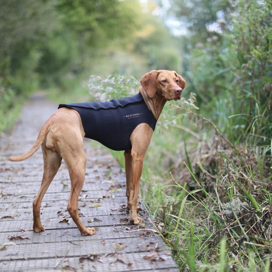 The Red Dog Co. Active Dog Coat 