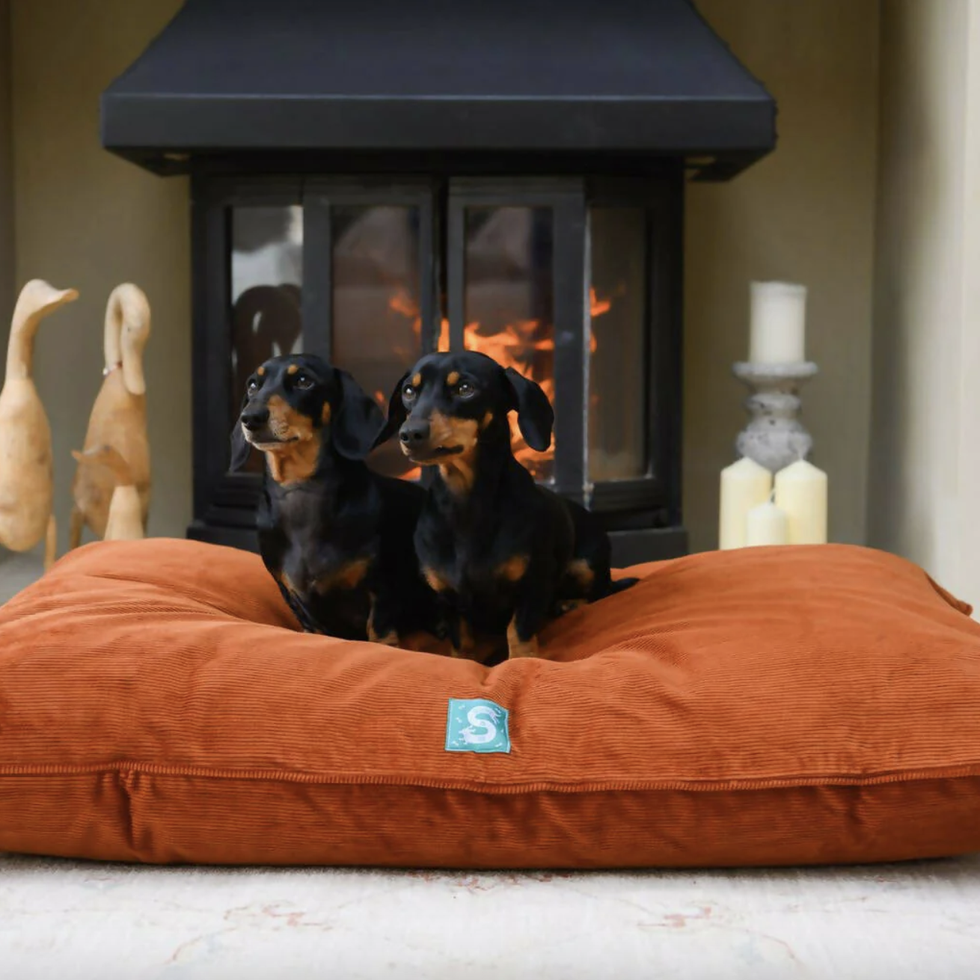 Corduroy Dog Bed - Cinnamon
