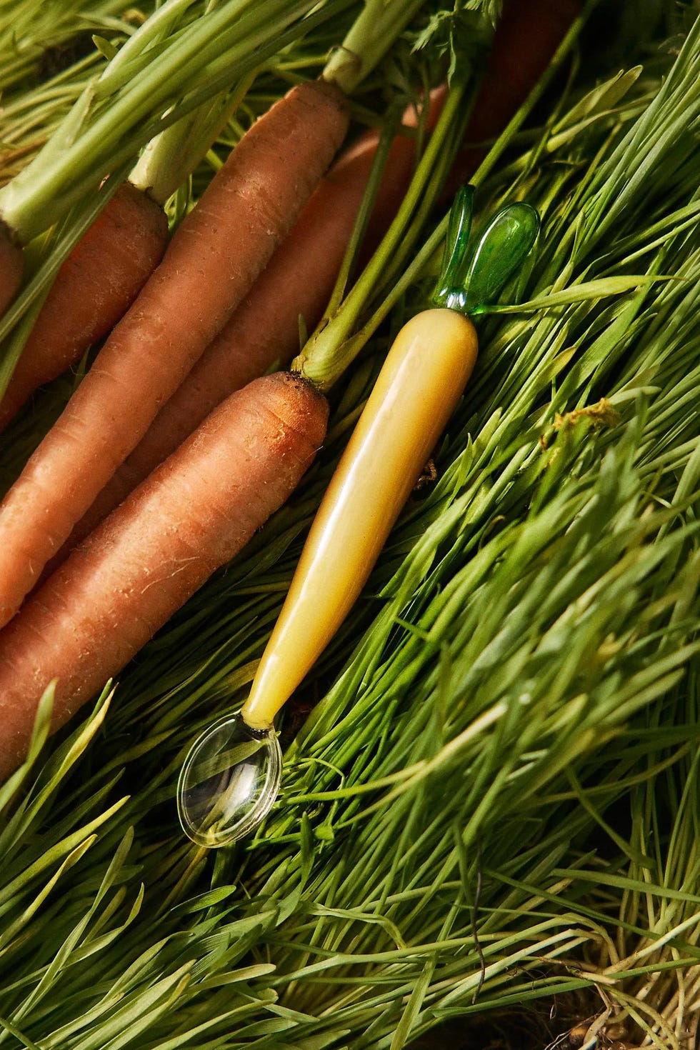 Carrot Glass Spoons, Set of 2