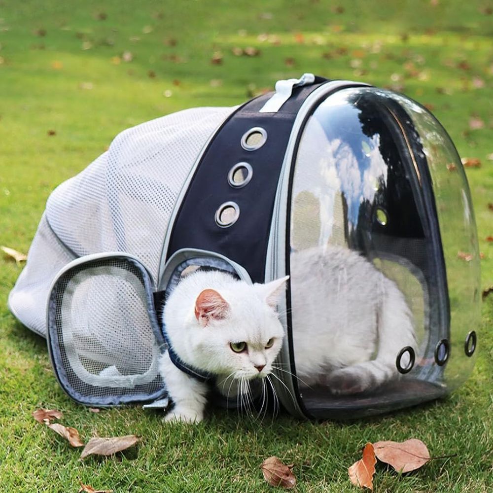 24 Best Gifts for Cat Lovers in 2024 Cute Cat Gifts Products