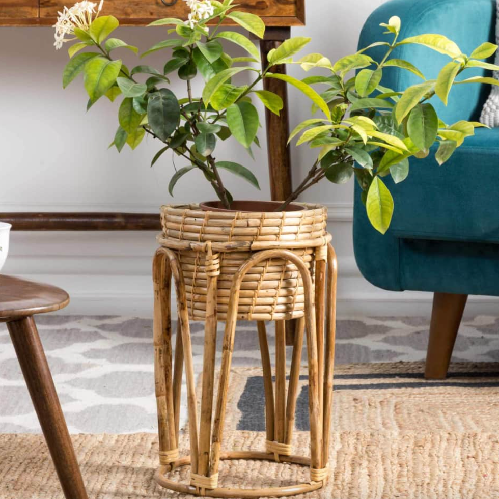 Rattan Plant Basket