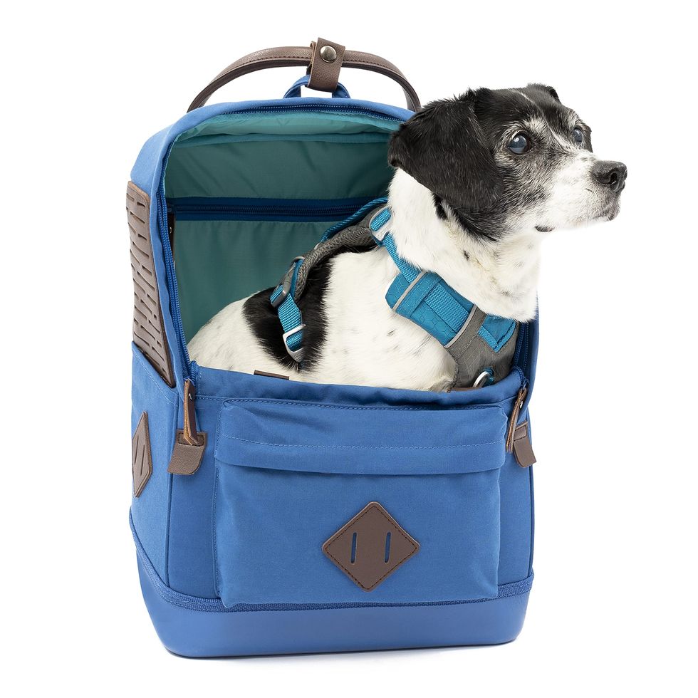 Nomad Dog Carrier Backpack