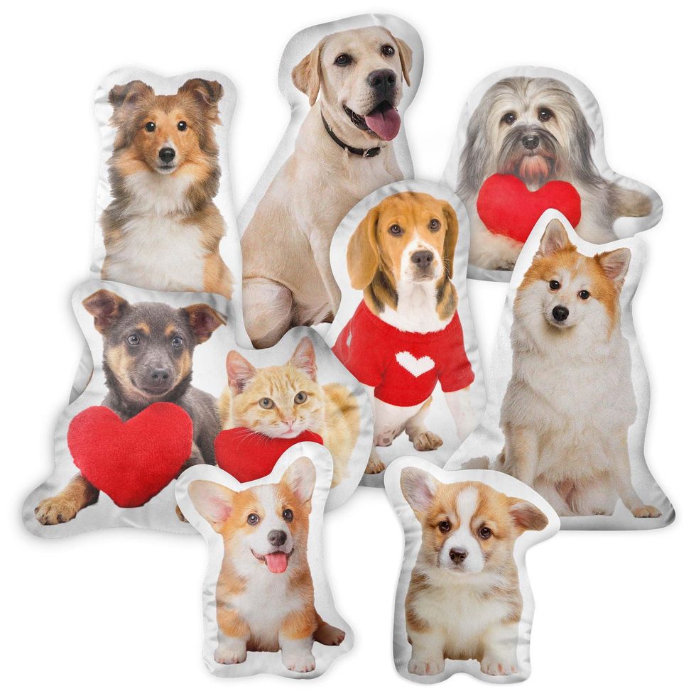 Personalized Pet Pillow Shaped