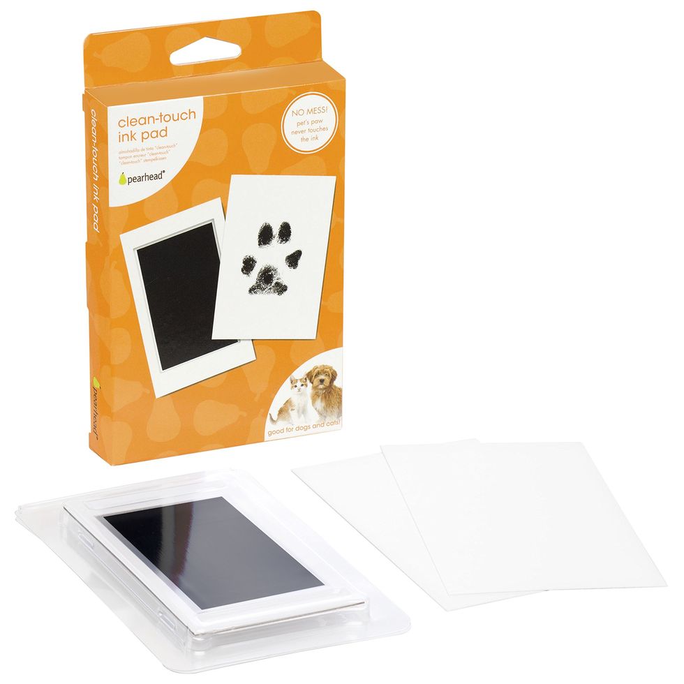 Paw Print Clean Touch Ink Pad