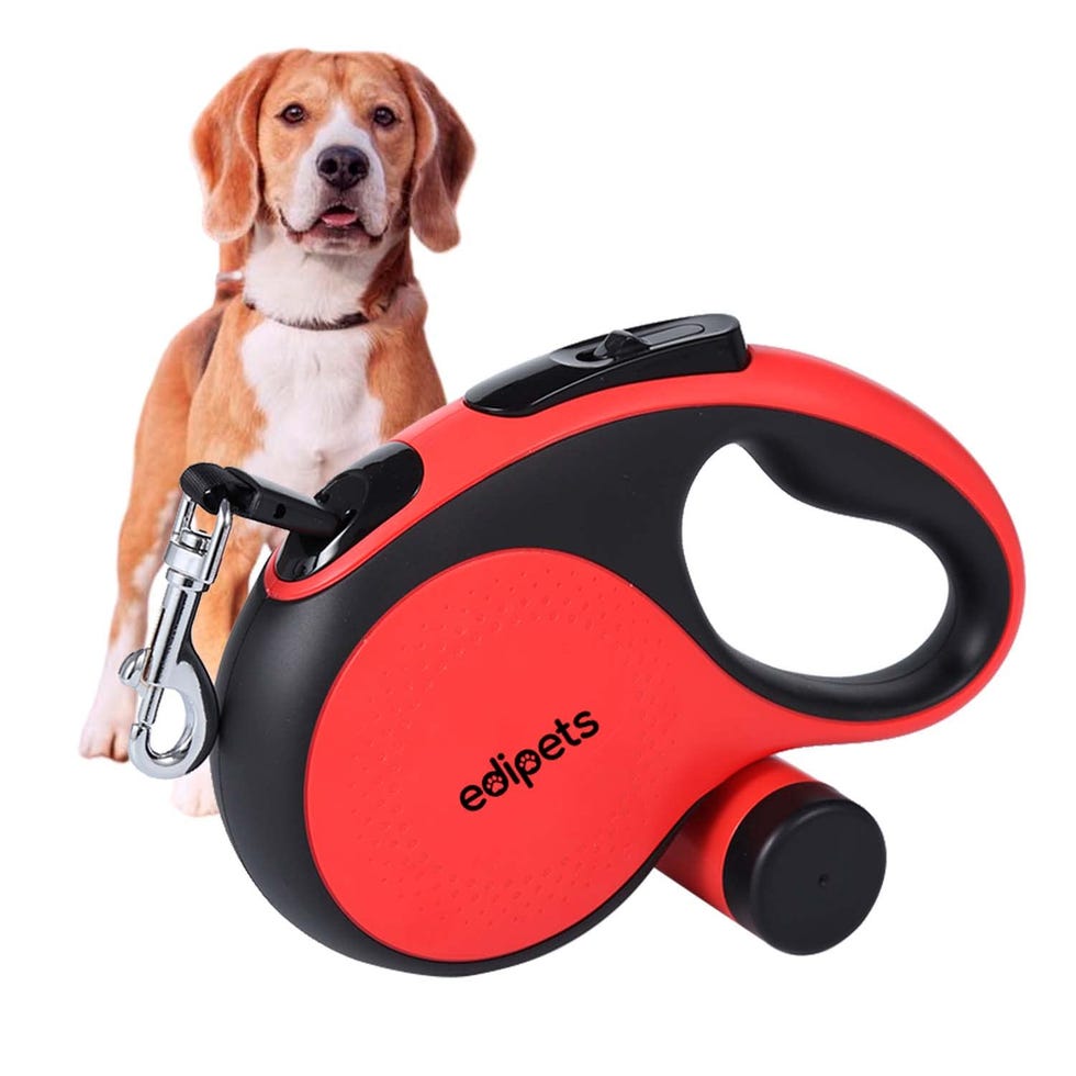Correa de perro extensible