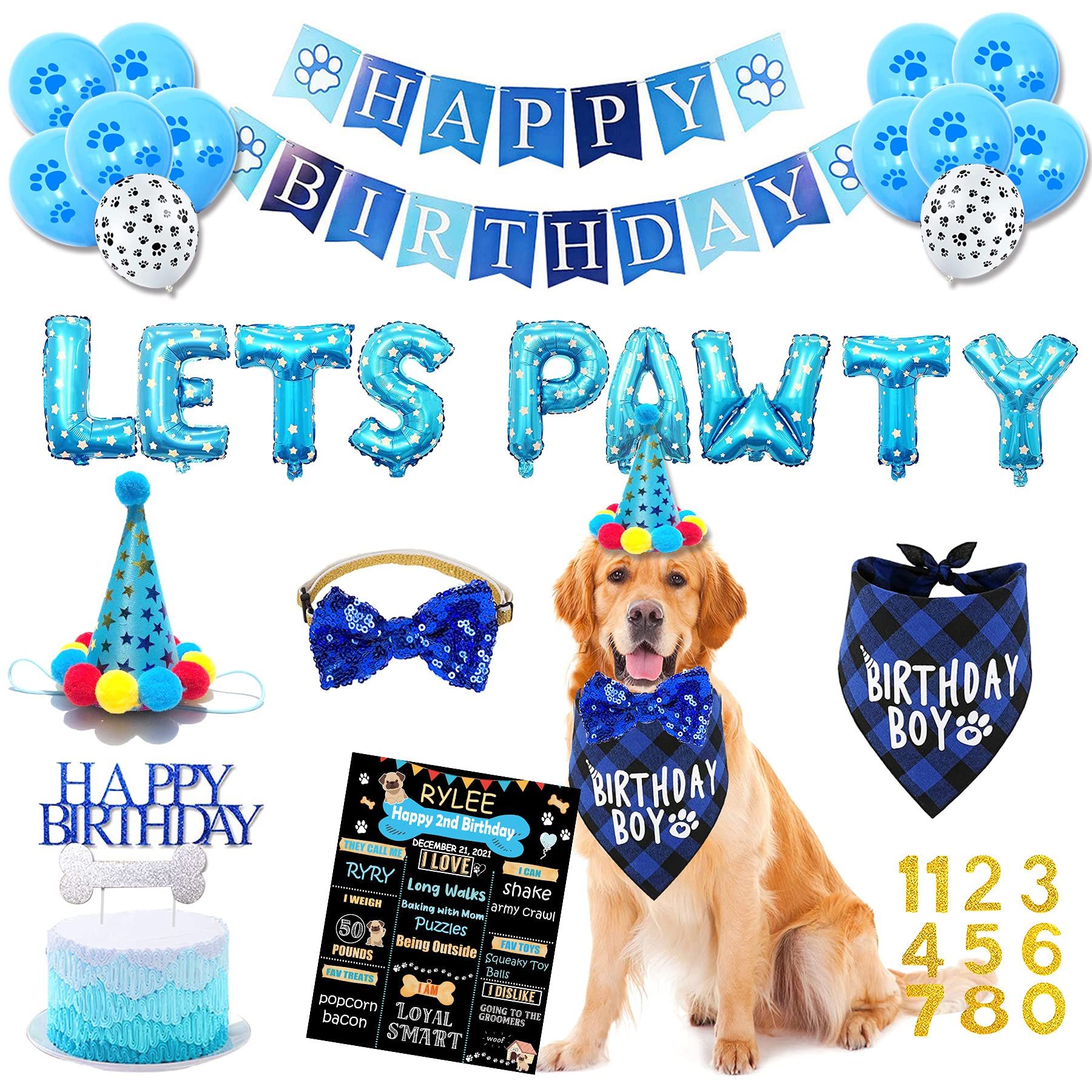 20 Best Dog Birthday Party Ideas of 2024