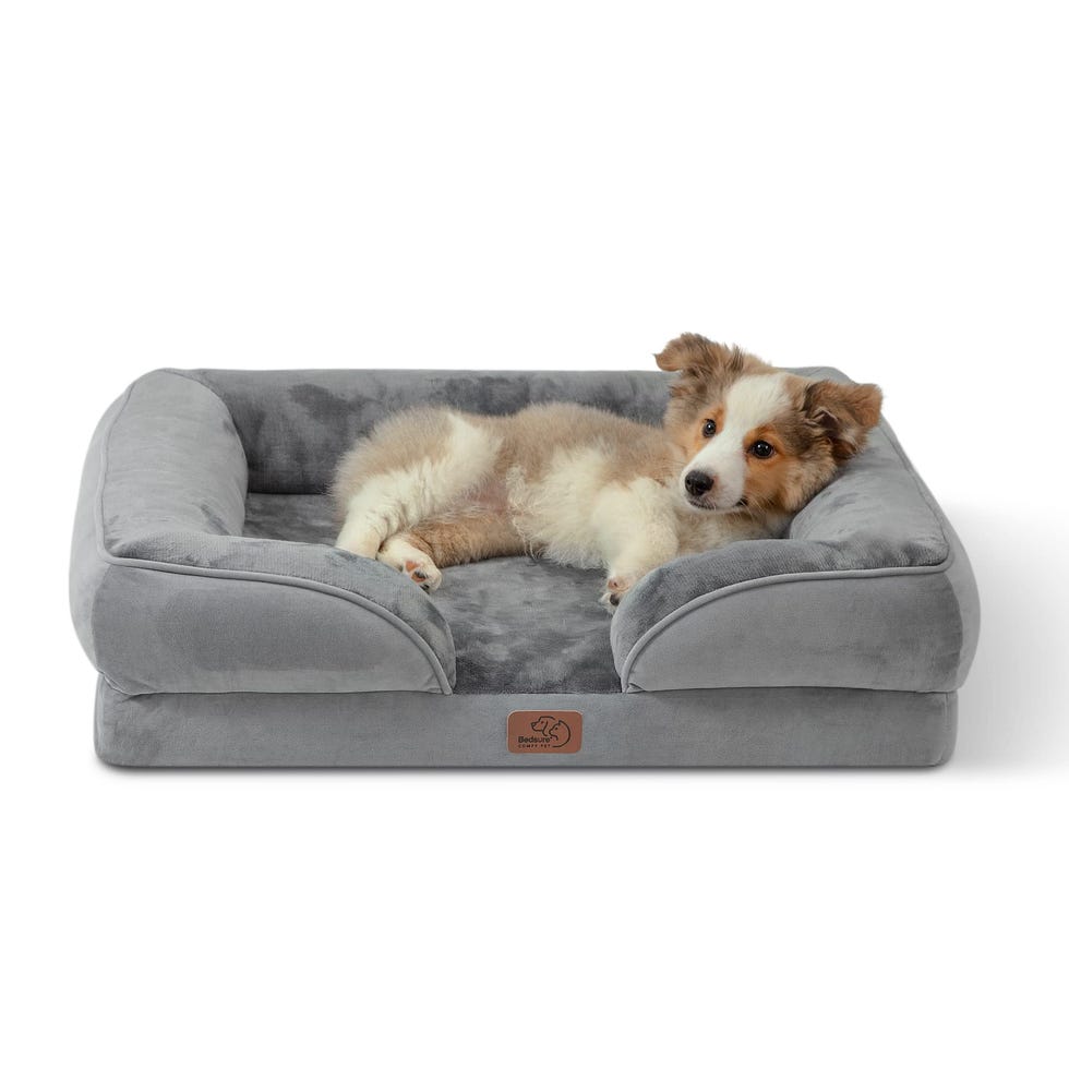 Orthopedic Bed for Medium Dogs