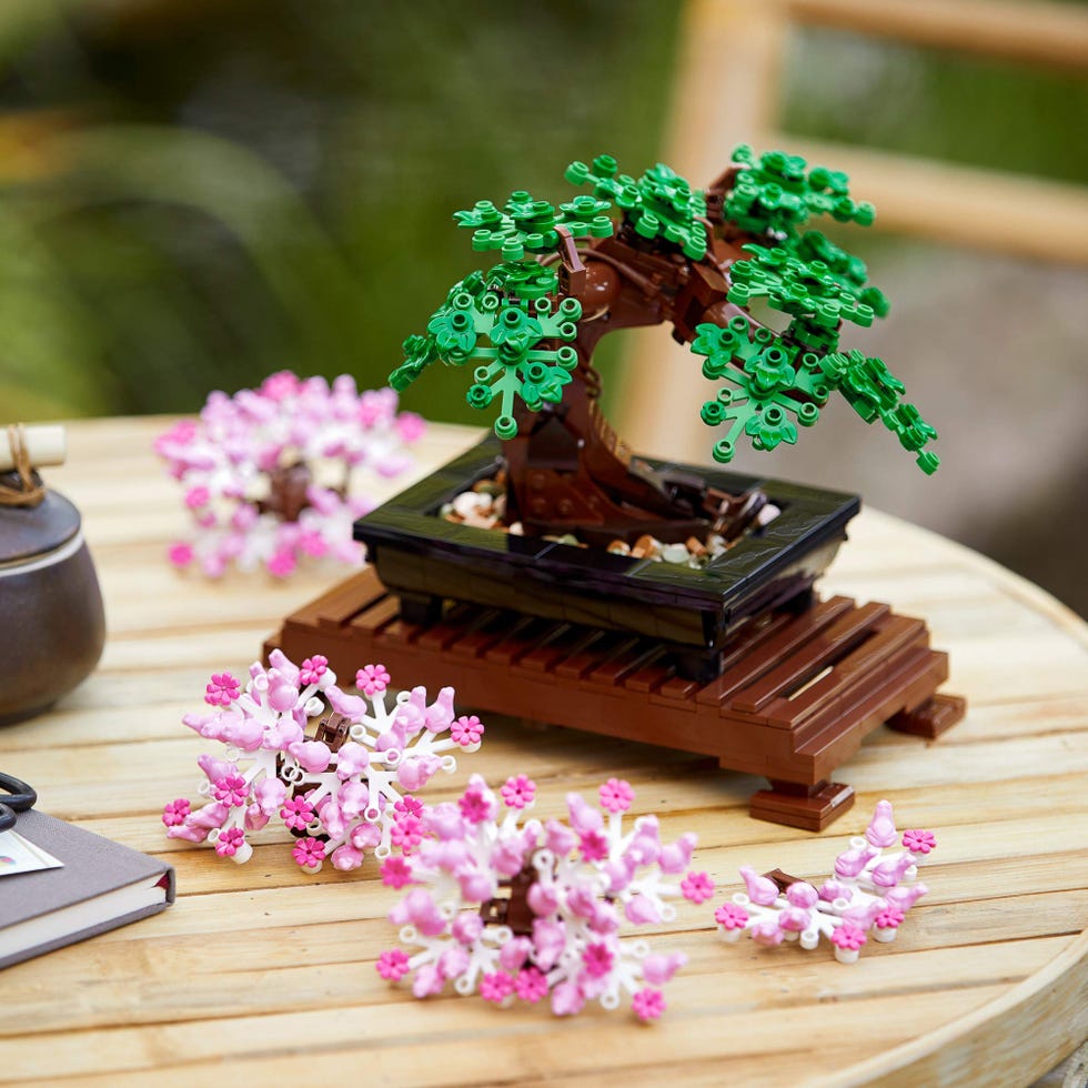 Bonsai Tree Building Set