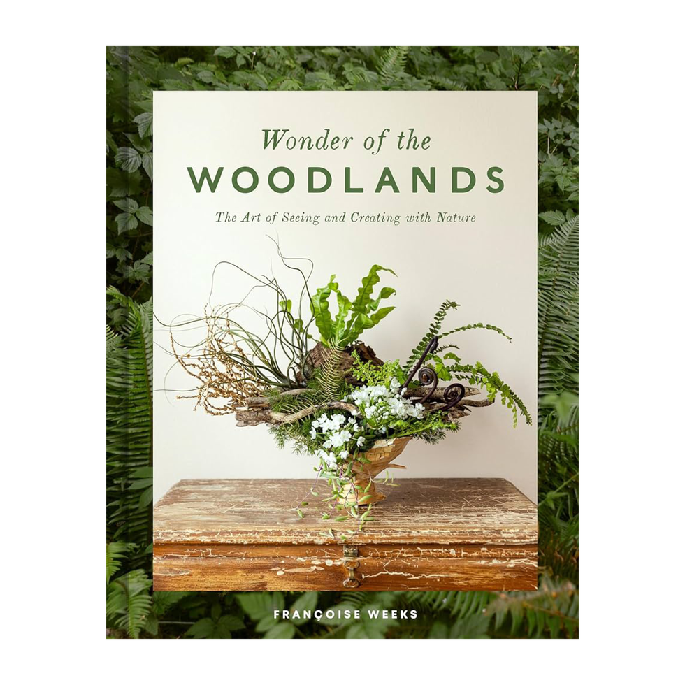 Wonder of the Woodlands: The Art of Seeing and Creating with Nature