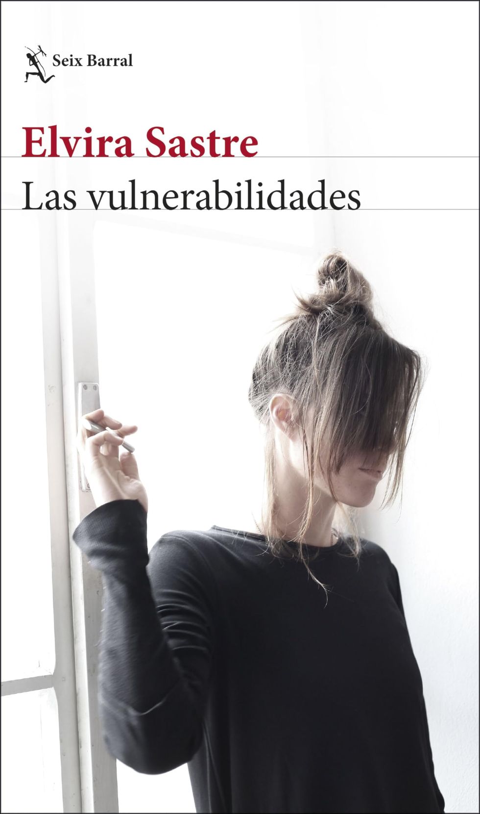 Las vulnerabilidades (Biblioteca Breve)