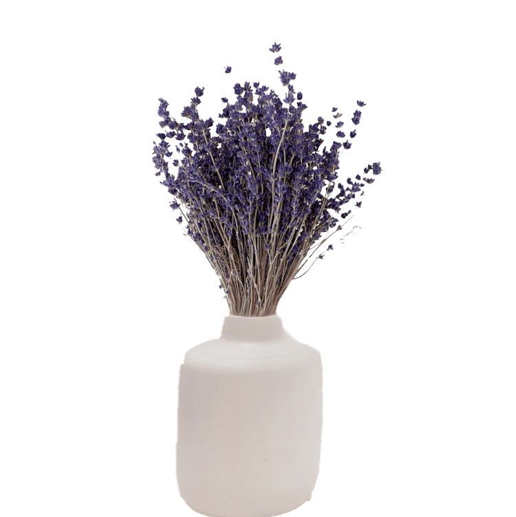 Dried Lavender Flower Bunch