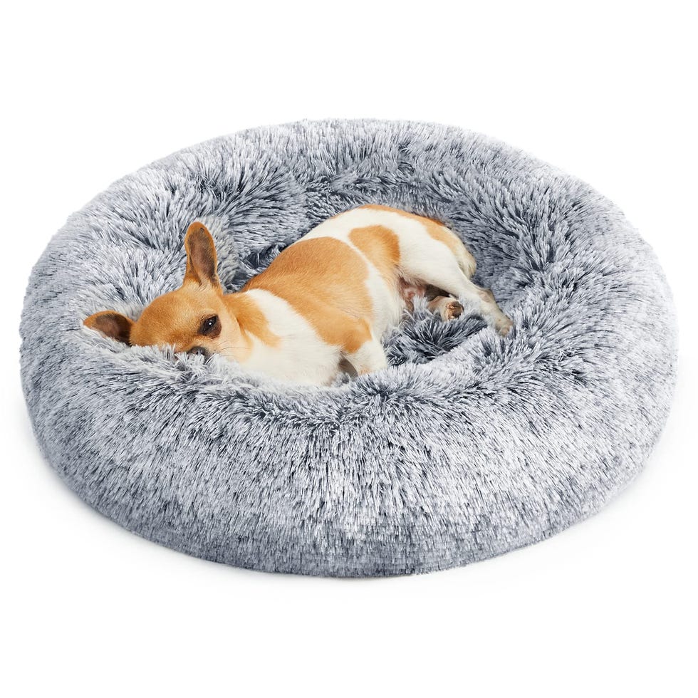 Cama para perros antiestrés