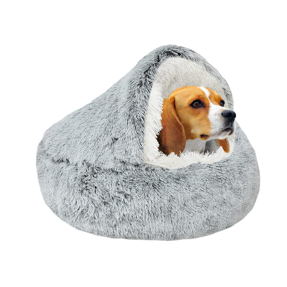 Cama dónut de felpa para perros