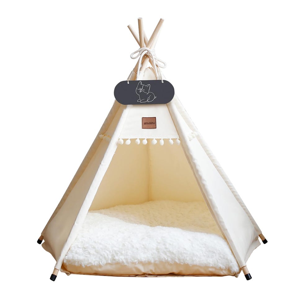 Cama tipi para perros pequeños